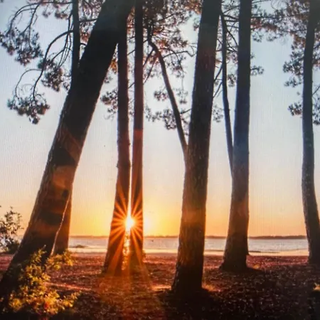 Maison Climatisee 47 M2 Proche Et Ocean Semesterbostad Biscarrosse