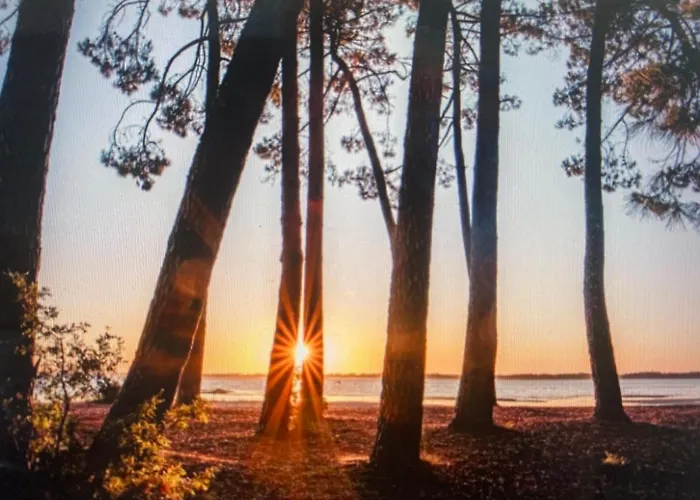 Maison Climatisee 47 M2 Proche Et Ocean Feriehus Biscarrosse